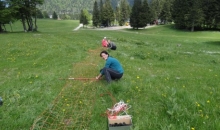 Zaključni piknik, Soriška planina, 4.6.2016