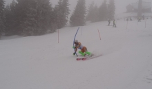 FIS tekma trenerjev Gartner Soriška planina 21.3.2015