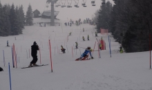 FIS tekma trenerjev Gartner Soriška planina 21.3.2015