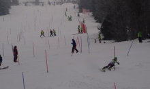 FIS tekma trenerjev Gartner Soriška planina 21.3.2015