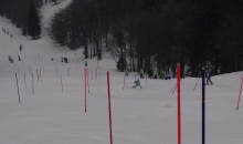 FIS tekma trenerjev Gartner Soriška planina 21.3.2015