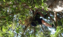 Zaključni klubski piknik Soriška planina 13.6.2015