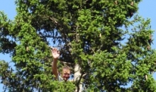 Zaključni klubski piknik Soriška planina 13.6.2015