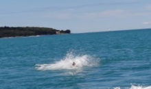 Letovanje Poreč, junij 2015